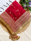 Bridal Premium Red Embroidered Fringed Net Dupatta