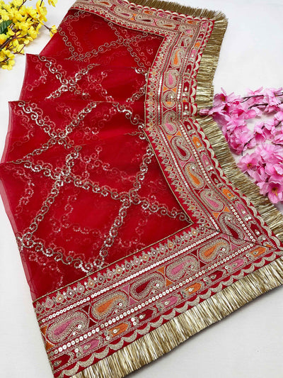 Bridal Satrangi Red Embroidered Fringed Net Dupatta