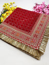Bridal Mehek Red Embroidered Fringed Net Dupatta
