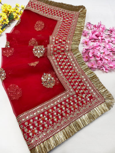 Bridal Khwab Red Embroidered Fringed Net Dupatta